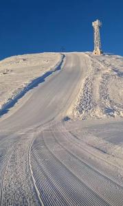 Simonen Apartments near the Gondola