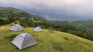 SafarnamaStays Homestay Camping Room Markham Mafhawnlur Meghalaya