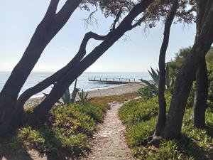 Appartements studio a 100m de la plage et de la piscine : photos des chambres