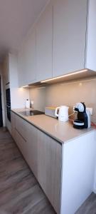 Modern 2-bedroom apartment near the beach of Ostend T102