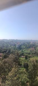 Studio solace kitisuru