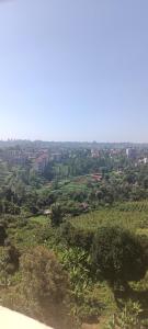 Studio solace kitisuru