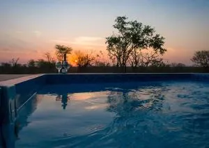 Mjejane Bush Camp, Greater Kruger National Park - Fantastic Big 5 game viewing - 赫克托斯普雷特