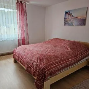 Eichhörnchen-Haus Körner im Schwarzwald - 黑林山区克尼格斯费尔德