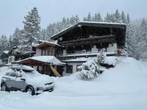 Buena Vista Mountain Lodge - 维尔德科格尔山麓布兰贝格