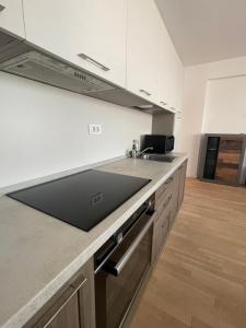 C-entral Apartments Bucharest with Private Parking