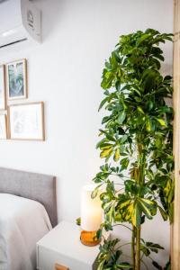 Olé studio Apartment