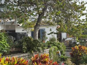 Casa das Flores Funchal