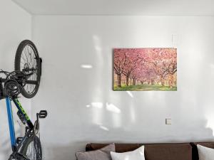 Exclusive Malaga Apartments with Cathedral Views and Auto Check-in