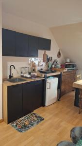 Appartements Studio dans belle maison ancienne et jardin ferme : photos des chambres