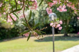 Villa Stintino vicino al mare img34
