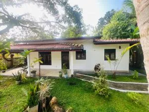 Своя компания - Metarambe