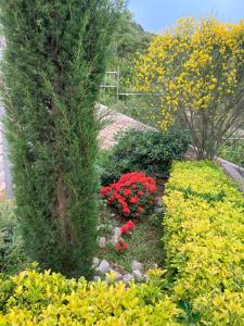 Vila Hera Korčula, Special one, pool, right on the sea,parking, 8 people