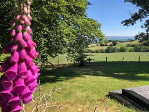 Secluded farmhouse with views