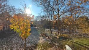 Sonnige Wohnung mit Parkblick nahe Schönbrunn