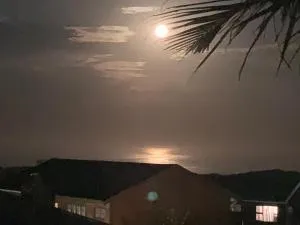 Cove Rock Seaview Apartment - Kiddʼs Beach