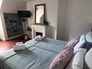 B&B / Chambres d'hotes Maison POL Amboise : Petite Chambre Lits Jumeaux