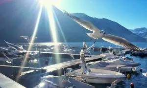 Il Giardino di Lilly - Cima