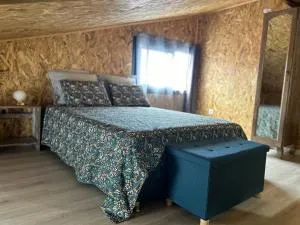 Les cattleyas - Îlet à Vidot