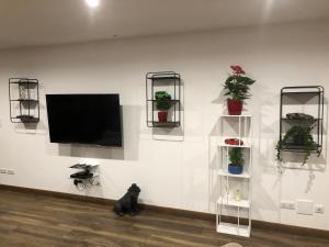 Appartements le Chalet de l-aiglon : photos des chambres