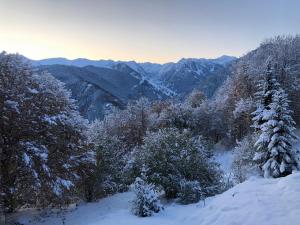 Appartements le Chalet de l-aiglon : photos des chambres