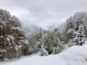 Appartements le Chalet de l-aiglon : photos des chambres