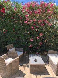 Maisons de vacances Maison au coeur du village : photos des chambres