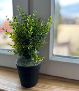 Apartman City View Popovača