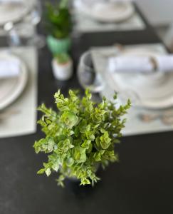 Apartman City View Popovača