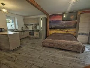 Streamside apartment - Szarocin