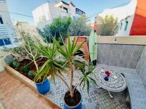 Art Of Balance - 塔姆拉赫特乌兹达尔