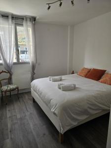 Appartements L-arcade Lourdes Hyper centre : photos des chambres