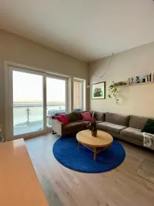 Hus til leie under VM 2025 - Hell