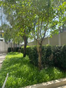 Prime Location46 sqm Room, King-Size Bed