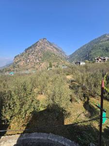 DNS Villas Manali