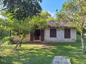 Casa rústica divertida - Ratones