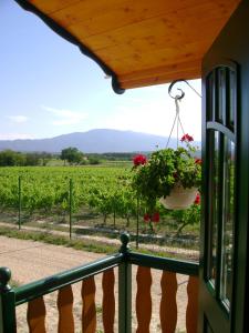 Sejours a la ferme La Grange de Campaulise - Camping a la ferme - Hebergements - Mont Ventoux : photos des chambres