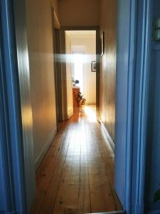 Bordeaux hypercenter apartment