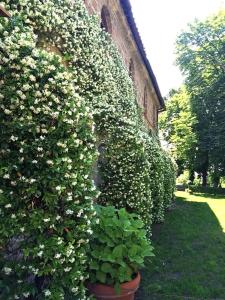 antica Villa con Giardino