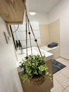 Appartements Appart T3 confort 4-6 pers - CLIM-Hypercentre : photos des chambres