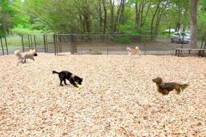 那須コテージ アン