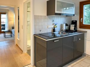 Panorama Apartment mit Titisee-Blick - Villa Hubertus