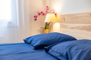 Appartements L-Oreneta, Le Boulou, ideal curiste : photos des chambres