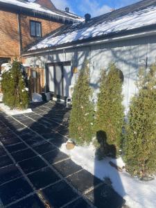 1 bedroom Garden Suite with parking, Best Location