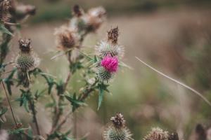 Crianlarich Youth Hostel