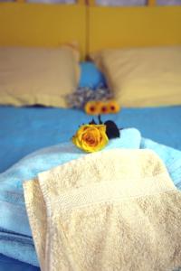 B&B / Chambres d'hotes DOMAINE DU SIESTOU WINE RESORT & spa : photos des chambres