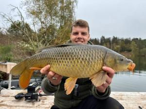 Chalets Chalet de l -etang : photos des chambres