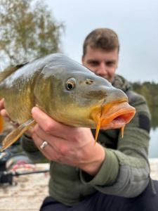Chalets Chalet de l -etang : photos des chambres