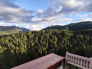 Appartements Alpen Panoramic : photos des chambres