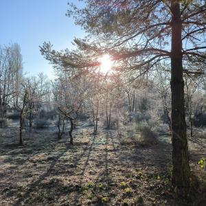 Chalets Chalet de l -etang : photos des chambres